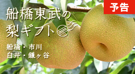 【予告】船橋梨ギフト