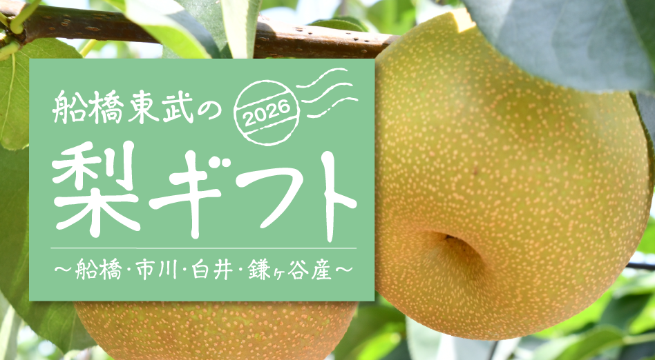 船橋東武の梨ギフト