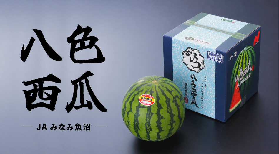 八色（やいろ）西瓜【送料込み】