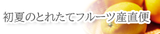 sidebnr_22ouchifunaEarSum01