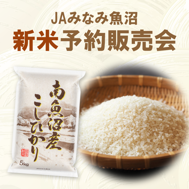 新米（令和7年産）