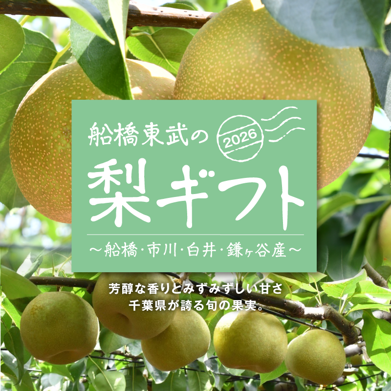 2026 船橋東武の梨ギフト