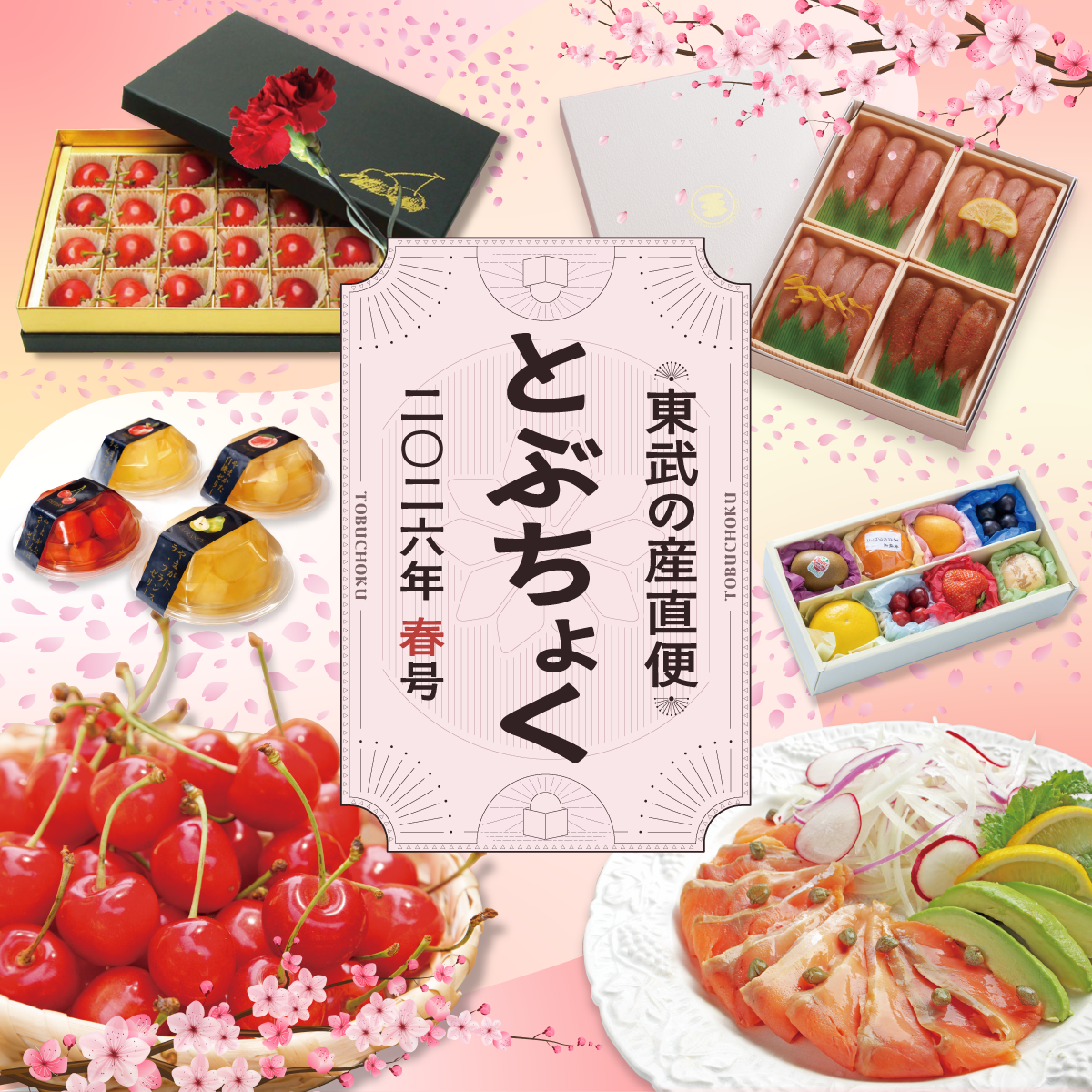 2026 とぶちょく春号