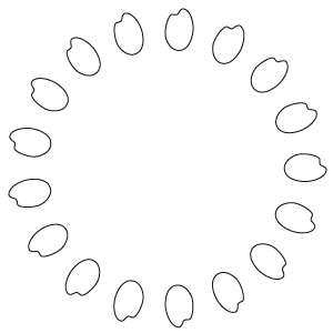 image_ic