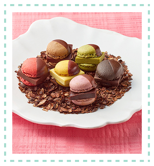 ［ソイルチョコレート＆マメイルナマチョコレートマカロン］MAMEIL チョコ&ピスタチオ&コーヒー&ブラッドオレンジ&クレームブリュレ&アールグレイプルーン