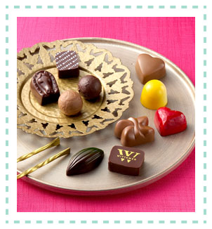 ［ヴィタメール］ショコラ・ド・ヴィタメール（10個入）