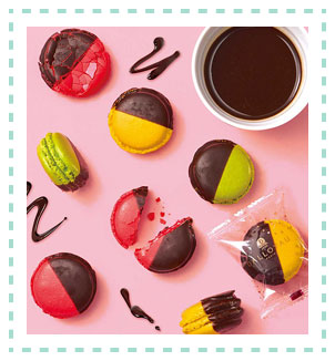 ［ダロワイヨ レ マカロン］ニャカロン ビズ（６個入）