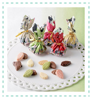 ［モンロワール］リーフメモリーカラーボックス20個入り