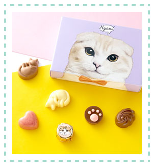 ［メリーチョコレート　ねこみゃみれ］にゃそーてっどチョコレート