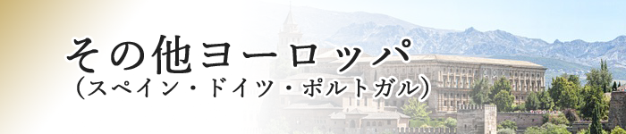 その他ヨーロッパ(スペイン・ドイツ・ポルトガル)