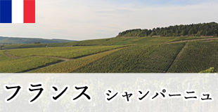 フランス　シャンパーニュ