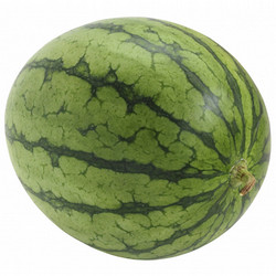 ［フルーツショップ青木］群馬県産 薮塚 小玉すいか