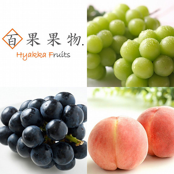 ［百果果物．］フルーツ定期便（3ヵ月お届けコースD）【送料込み】