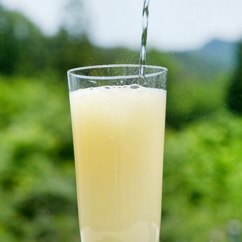 武姜 セゾンファクトリー］265ml 飲む生姜の力 - 東武の食品 - 【公式