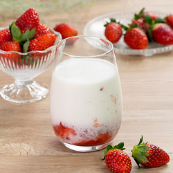 ［セゾンファクトリー］いちごミルクの素
