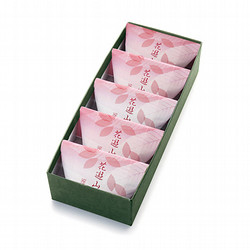 ［叶 匠壽庵］花遊山 5入り