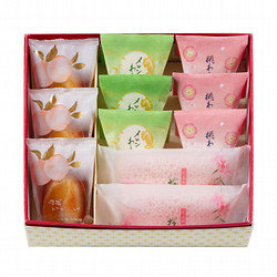 ［宗家 源 吉兆庵］春の菓詰合せ　中