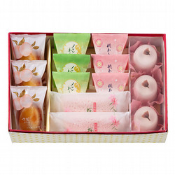 ［宗家 源 吉兆庵］春の菓詰合せ　大