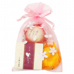 ［宗家 源 吉兆庵］あんとろり詰合せ3入ポーチ（春）