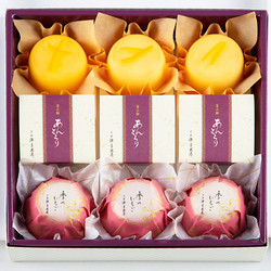 ［宗家 源 吉兆庵］あんとろり詰合せ9入（春）