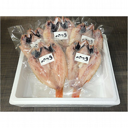 ［味の十字屋］特大のどぐろ一夜干詰合せ（5枚セット）