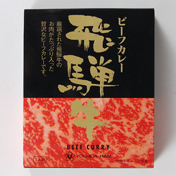 ［北野エース］飛騨牛ビーフカレー