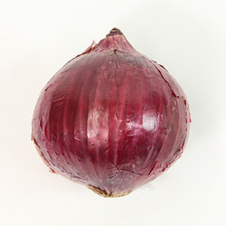 ［九州屋］アーリーレッド