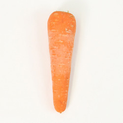 ［九州屋］にんじん（1本）
