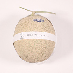 ［九州屋］静岡県産 アローマスクメロン