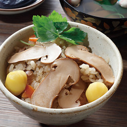［九州屋］北米産松茸（アメリカ・カナダ産)【送料込み】