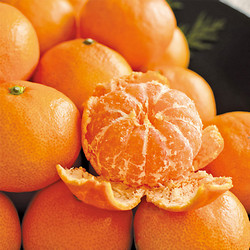 ［九州屋］長崎県産「味まる」みかん【送料込み】