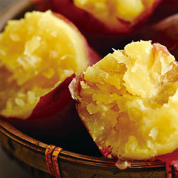 ［九州屋］徳島県産「鳴門金時」【送料込み】