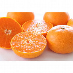 ［九州屋］愛媛県産せとか【送料込み】