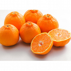 ［九州屋］熊本県産デコポン【送料込み】