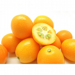 ［九州屋］宮崎県産完熟金柑「たまたま」【送料込み】