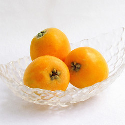 ［九州屋］長崎県産茂木びわ【送料込み】