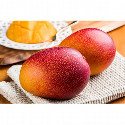 ［九州屋］宮崎県産完熟マンゴー【送料込み】