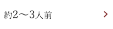 約2～3人前