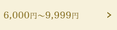 6,000円～9,999円