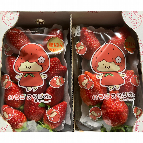 いちごスタジオ]堅しろうDX（260g×2パック）【送料込み】 - いちご