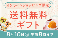 オンラインショッピング限定　食品送料無料ギフト　2022夏