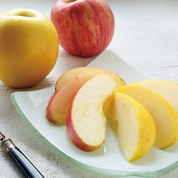 ［東根農産センター］山形県産サンふじ＆シナノゴールド【送料込み】