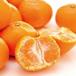 ［九州屋］熊本県産「夢の恵」みかん【送料込み】