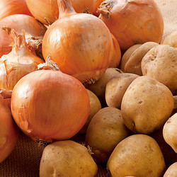 ［九州屋］北海道産男爵芋＆玉ねぎ【送料込み】