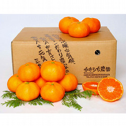 ［かきうち農園］三重県産 温州みかん(早生＆晩生)【送料込み】