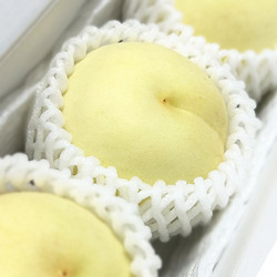 ［MOMONA Peach Farm］岡山県産 玄桃（冬桃がたり）ご家庭用【送料込み】