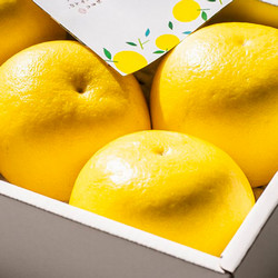 高知県産 温室文旦【送料込み】