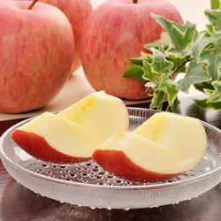 サンふじ（秀）【送料込み】