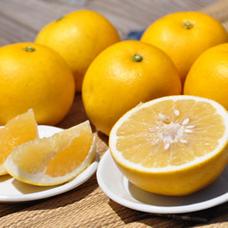 ［緑の里りょうくん］宮崎県産 樹上完熟グレープフルーツ【送料込み】