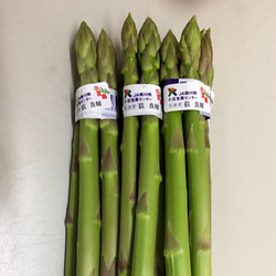 香川県産 さぬきのめざめ【送料込み】